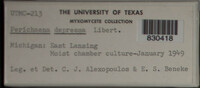 Image Associated With the Occurence